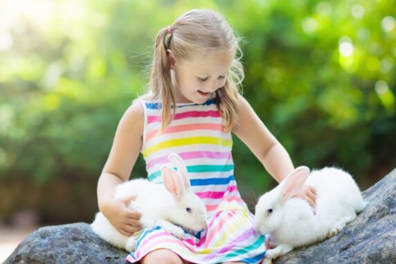 Camping Sonnenland kinderboerderij