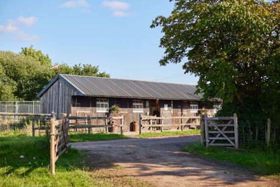 BoerenBed Mount Pleasant Farm - photo 4