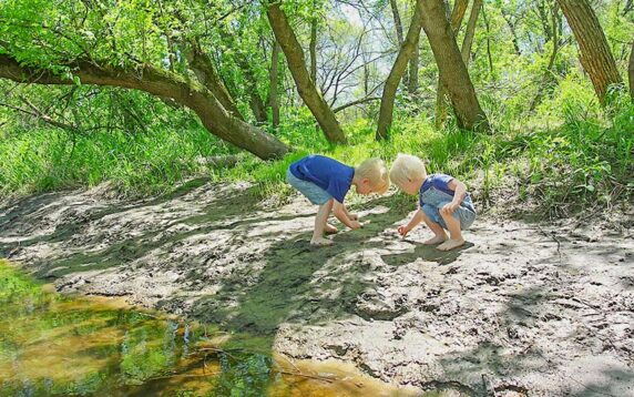 Camping De La Doller - photo 12
