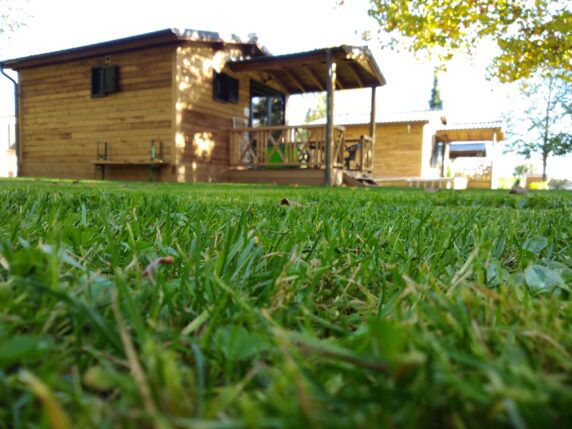 Camping de Masevaux - photo 14