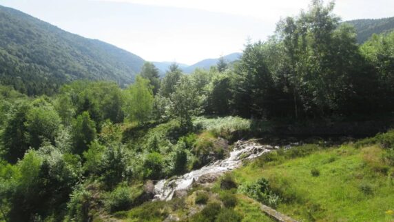 Camping de Masevaux - photo 15