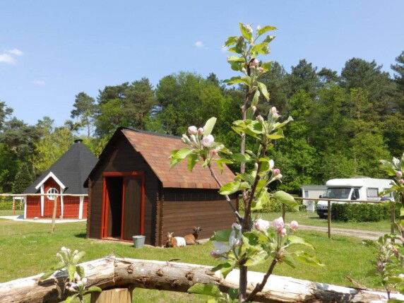 Camping De Zeven Geitjes - photo 1