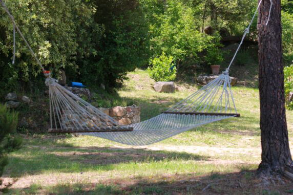 Burciano di Sotto - photo 3