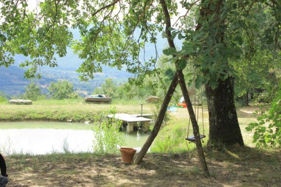 Burciano di Sotto - photo 4