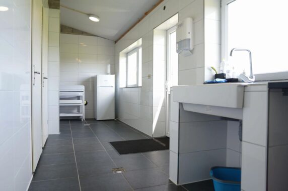 Boerderijcamping Noorderwaard-Texel - photo 7