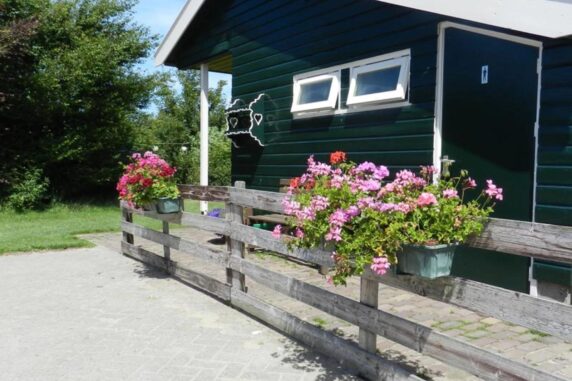 Le camping à la ferme Schapenboerderij Westerweg - photo 3