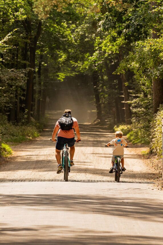 Vakantiepark De IJsvogel - photo 10