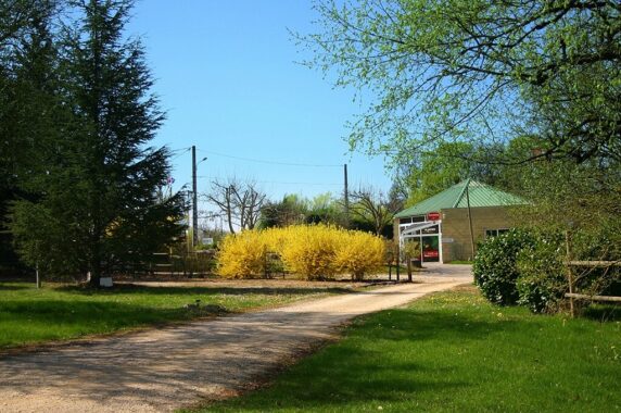 Photo 11