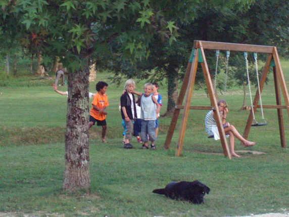 Photo 4