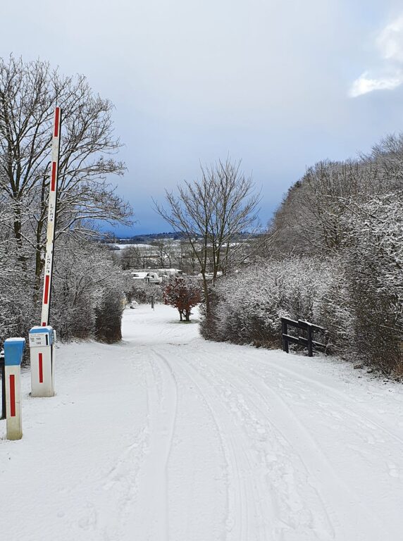Toftum Bjerge Camping - photo 7