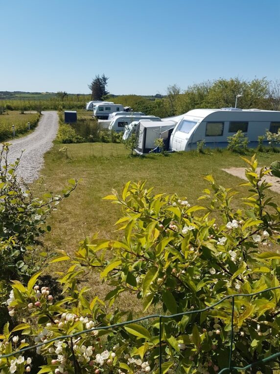 Toftum Bjerge Camping - photo 3