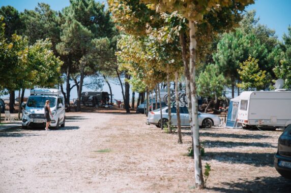 Mcm Camping & Resort - photo 4