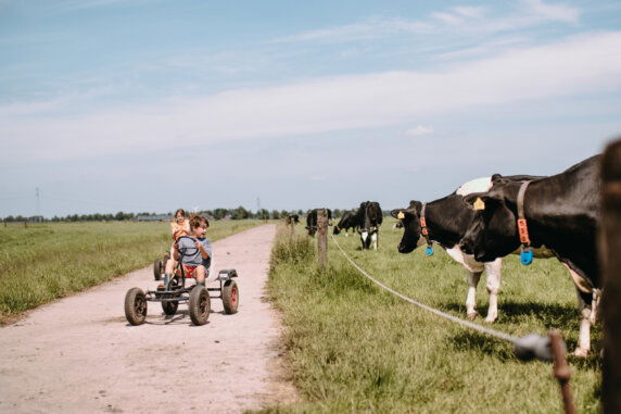 BoerenBed Botterheerd - photo 19