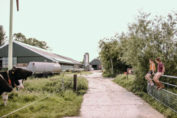 BoerenBed Botterheerd - photo 21