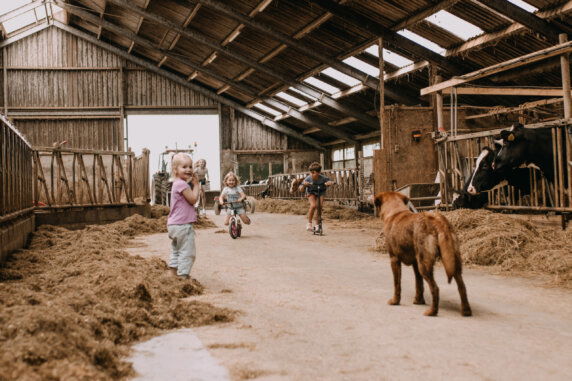BoerenBed Botterheerd - photo 14