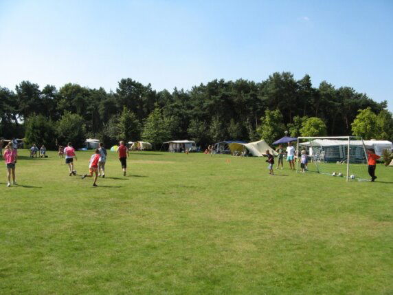 ParcCamping De Witte Vennen - photo 7