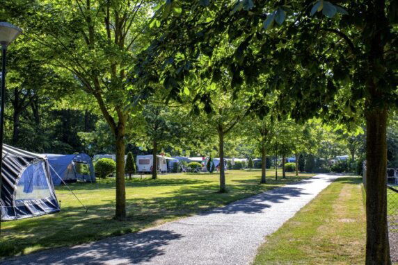 ParcCamping De Witte Vennen - photo 11