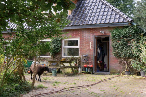 Photo 7