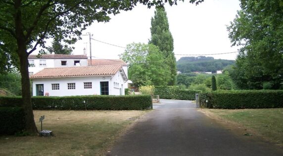 Photo 4