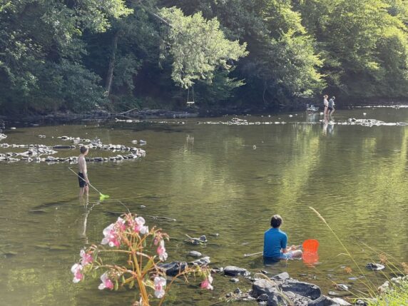 Ardenne Camping Mâboge - photo 2