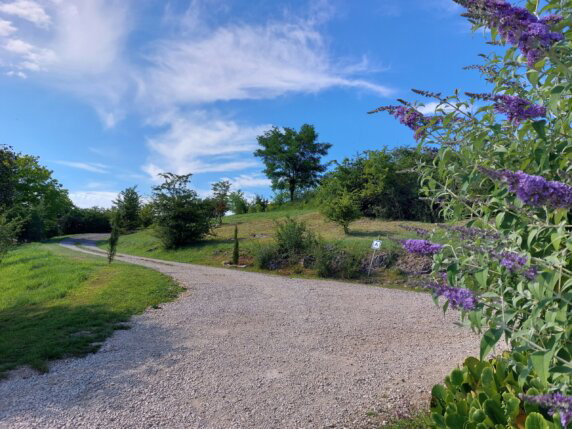 Camping La Jonquille - photo 12