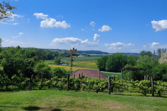 Camping La Jonquille - photo 17