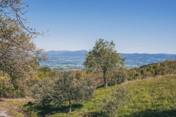 Vodatent Camping Lucherino - photo 12