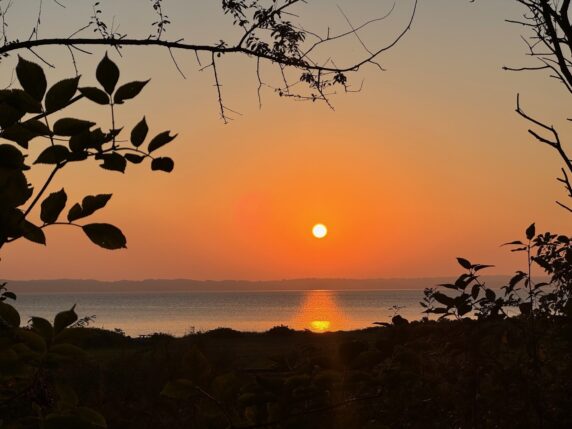 Vodatent Rosenvold Strand Camping - photo 12
