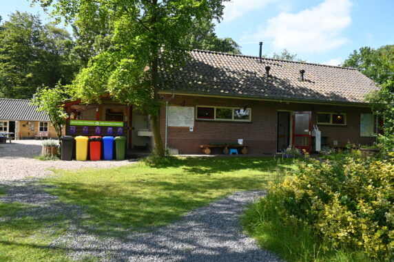 Photo 16