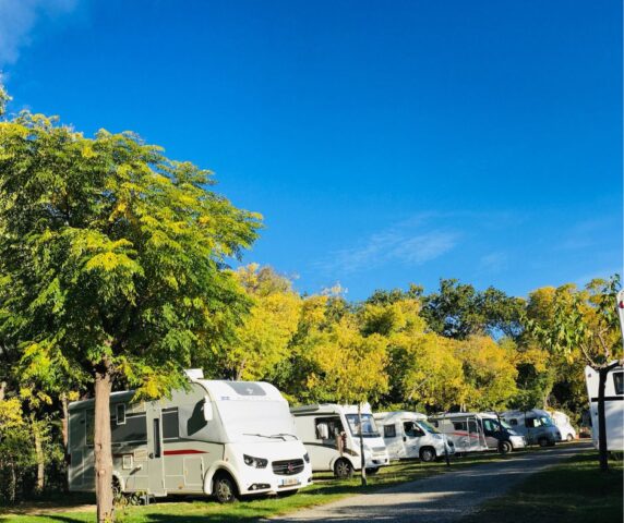 Camping Amélia - photo 5