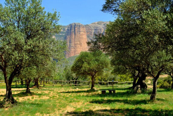 Camping Armalygal - photo 3