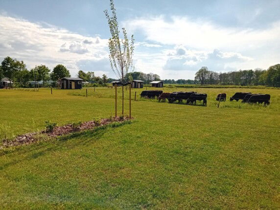 Camping d&#8217;n Aanloop - photo 3