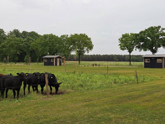 Camping d&#8217;n Aanloop - photo 4