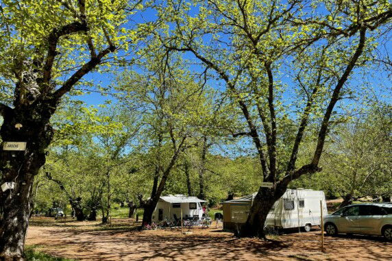 Camping el Madroñal - photo 1