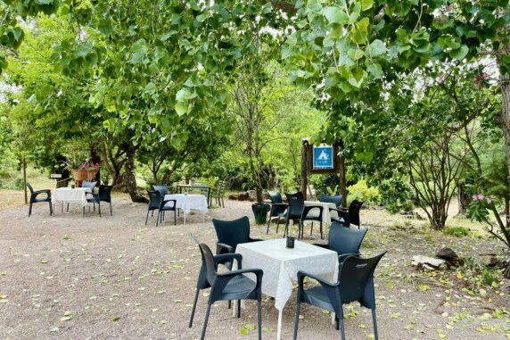 Camping el Madroñal - photo 5