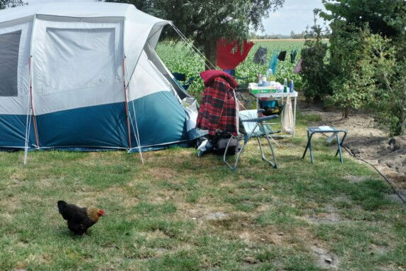Minicamping Zonnehoek - photo 1