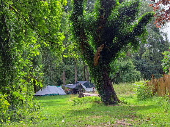 Natuurcamping La Divine Providence - photo 3