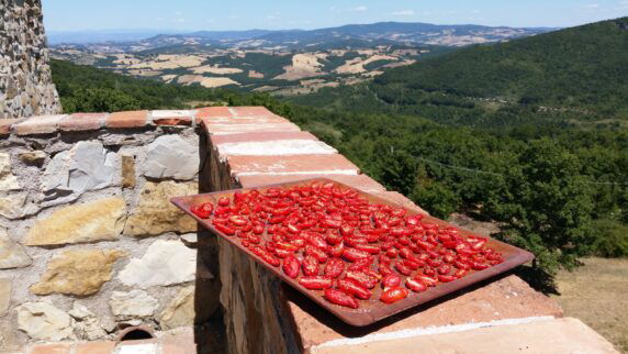 Podere Lama - photo 7