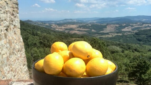 Podere Lama - photo 1