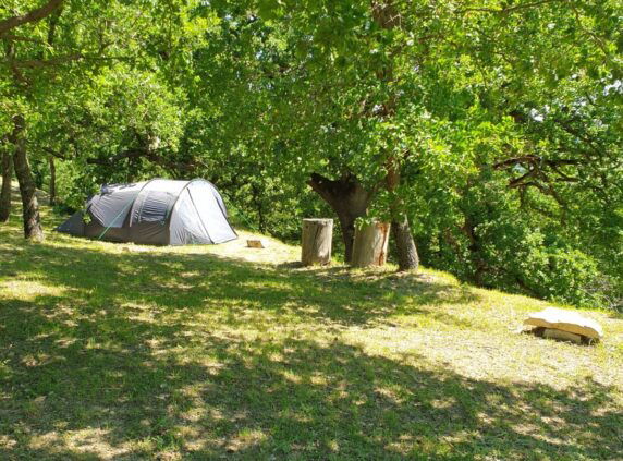 Podere Lama - photo 3