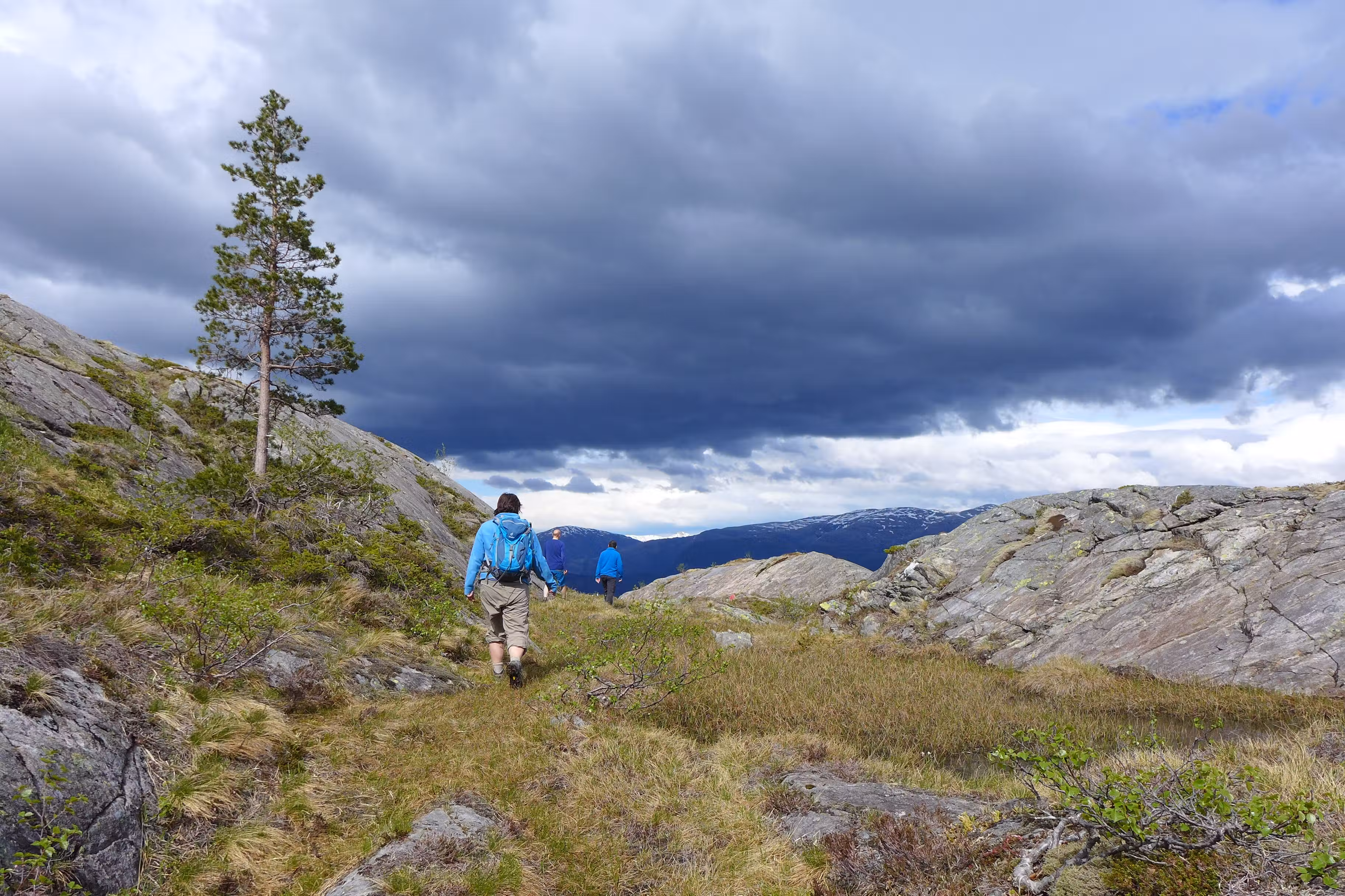 Velfjord Camping &#038; Hytter - photo 14