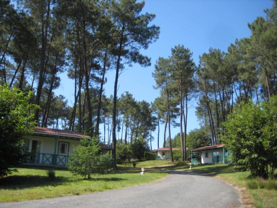 Domaine Des Grands Pins - photo 1