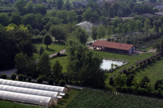 Agricampeggio Gelindo dei Magredi - photo 10