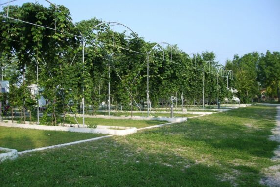 Agricampeggio Gelindo dei Magredi - photo 9