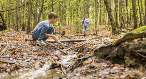 Ardennen Camping Bertrix - photo 18