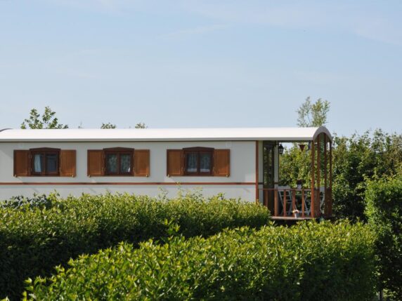 Camping de Boshoek - photo 11