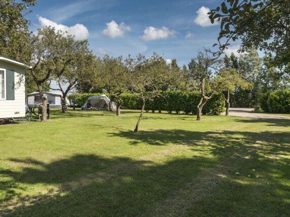 Camping de Boshoek - photo 2
