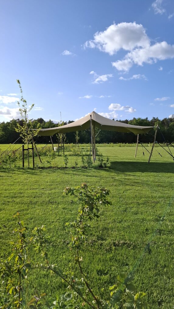 Camping Dennenburg - photo 3
