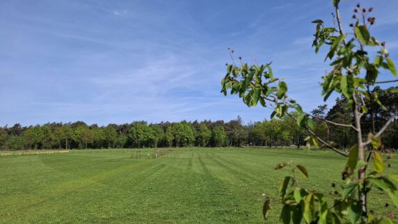 Camping Dennenburg - photo 1