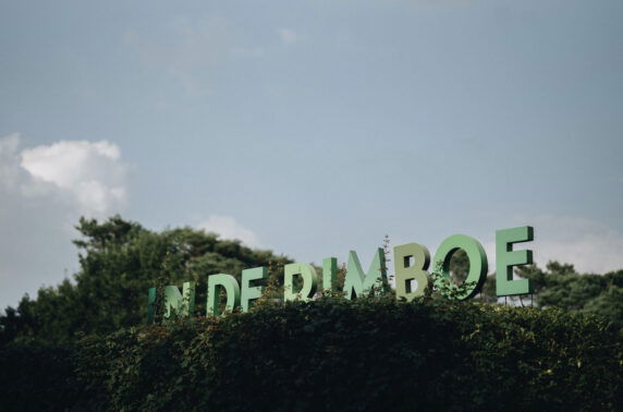 In de Rimboe - photo 12